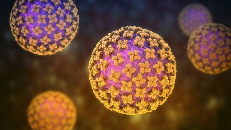 Hantavirus pandemic in 2026?