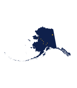 Alaska Senate Election Winner