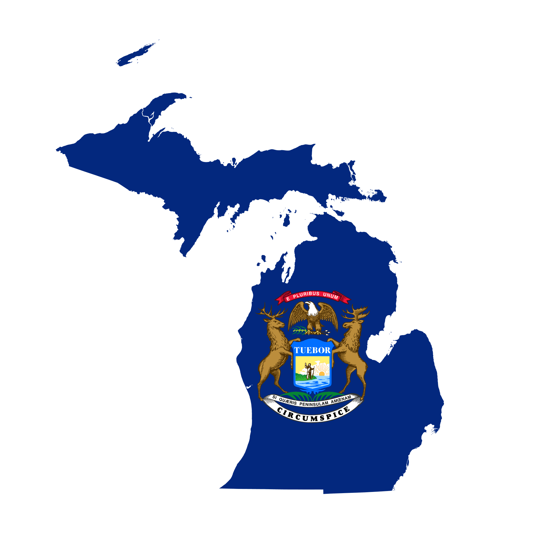 Michigan Senate Election Winner