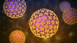Hantavirus pandemic in 2026?