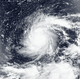 How many tropical cyclones will make landfall in China during 2026?